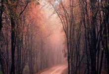 开云体育平台APP-刀光剑影！格列兹曼弑旧主未遂巴萨绝境抢分险平马竞