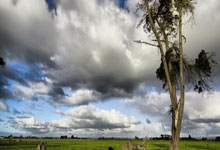 开云APP-卡尔蒂斯球队配合日益默契，世俱杯表现备受关注