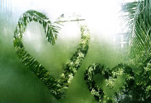 开云体育登录-斯图加特主场告急！红白军团如何绝地重生？