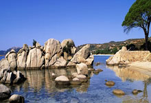 开云体育app-石家庄队伍再战告捷：破茧成蝶正当时