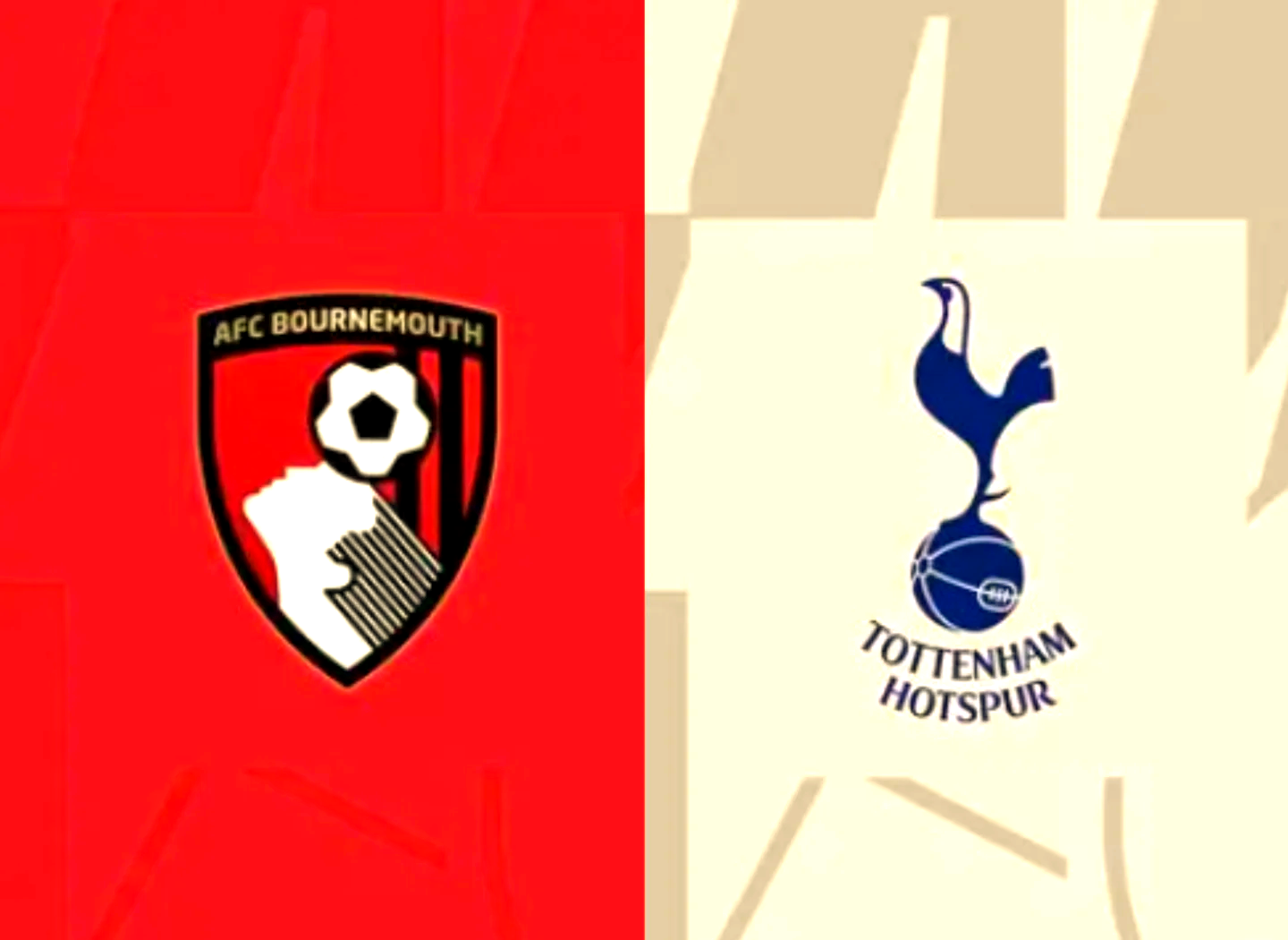 开云官网-伯恩茅斯狂胜告捷，保级希望一线