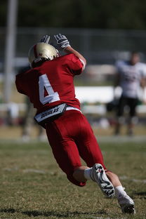 开云平台-河床球迷现场助威，激发球队夺冠斗志