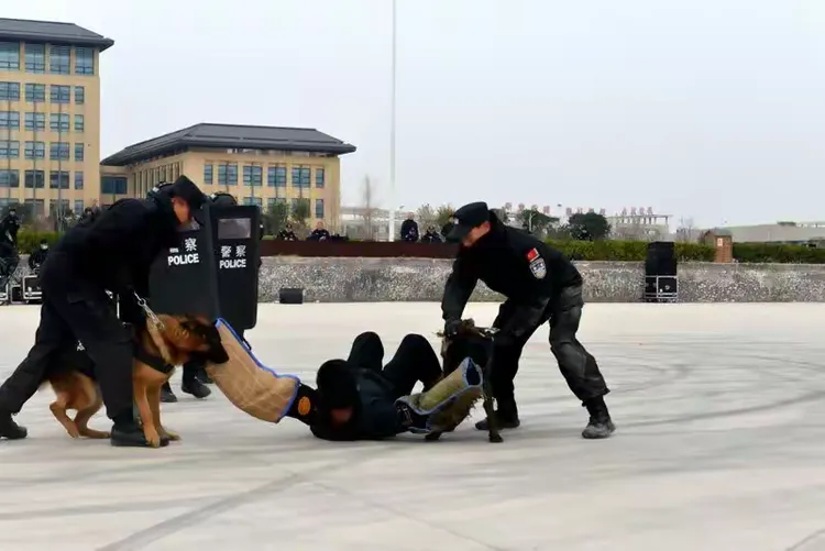 开云平台-邯郸队员士气高昂，备战升级战