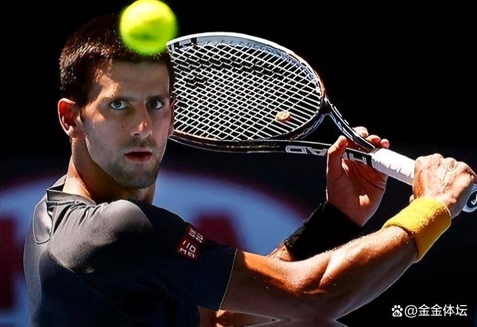 日本网球队横扫世界网球队，德约科维奇惊艳世界的简单介绍