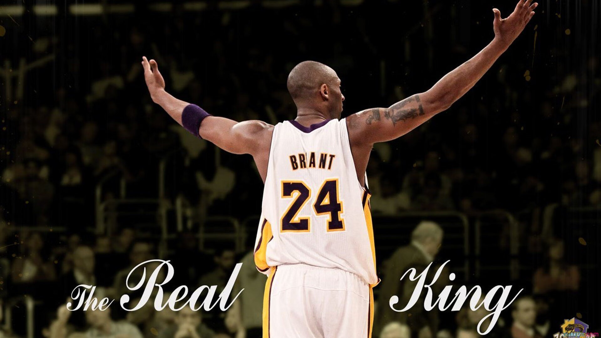 开云体育APP下载-韧性，单节拉开与关键先生的胜利哲学